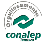 logo-temix